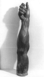 Arm — Pierre Puget