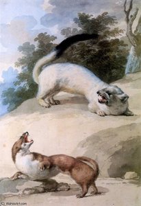 Ermine And Weasel Sun — Aert Schouman