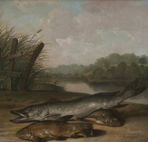 Pike, Tench And Chub — Arthur Devis