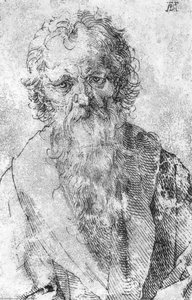 Bearded Man — Albrecht Dürer