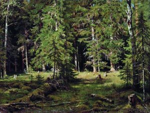 Forest (12) — Ivan Ivanovich Shishkin