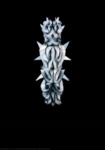Capriole, Dress — Iris Van Herpen, Neri Oxman