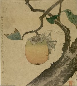 Persimmon Ve Çıtçıt — Hokusai