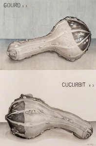 Gourd X 3, Cucurbit X 3 — Dave Morris