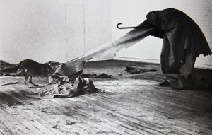 I Like America And America Likes Me — Joseph Beuys