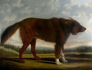 Lord Byron's Dog 'lyon' — Clifton Tomson