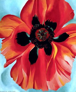 Red Poppy Vi — Georgia O'keeffe