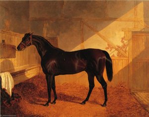 Mr. Johnstone's Charles Xii In A Stable — John Frederick Herring Senior