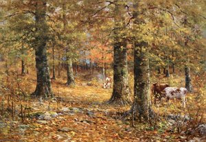john elwood bundy