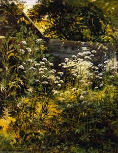 Untitled — Ivan Ivanovich Shishkin