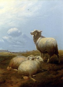 Sheep At Pasture — Thomas Sidney Cooper