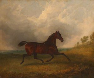 'pacha', A Bay Horse Trotting In A Landscape — James Barenger