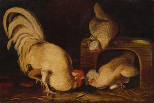 Farmyard Fowls — John James Audubon