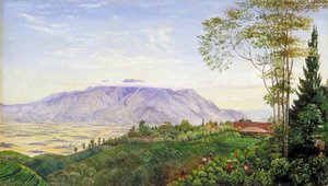 Tea Gathering In Mr Hölle's Plantation At Garoet, Java — Marianne Northová