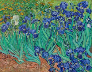 Irises — Vincent Willem Van Gogh
