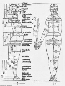 Studi Sulle Proporzioni Del Corpo Femminile — Albrecht Dürer