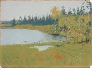 Una Giornata Grigia Da Ralph — Frederic Remington