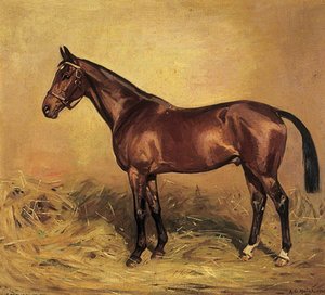 Horse Portrait, 'screwdriver' — Alfred Grenfell Haigh