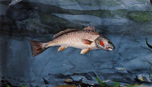 Kanal Bass, Florida — Winslow Homer