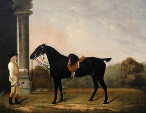'sheepface', A Black Charger, With Stainsby The Groom — Clifton Tomson