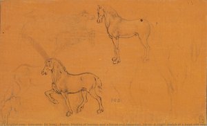 Recto: Studije Konja I Konj S Lovcem Na Koplju. Verso: Lagani Skic Za Glavu I Gornji Dio Tijela — Leonardo Da Vinci