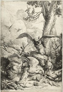 Fable Of The Peacock — Daniel Ii Schultz
