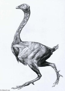 Bird — George Stubbs