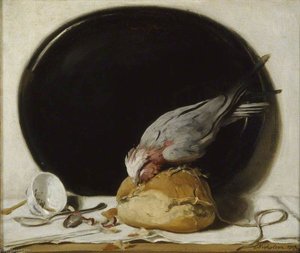 The Rose Crested Cockatoo — William Nicholson