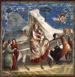 Nº 20 Cenas Da Vida De Cristo: 4. Fuga Para O Egito — Giotto Di Bondone