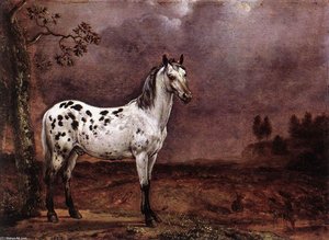 The Spotted Horse — Paulus Potter