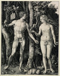 Pád — Albrecht Dürer