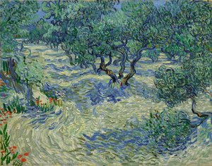 Olive Orchard — Vincent Willem Van Gogh
