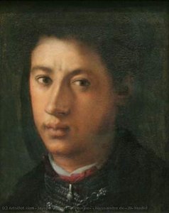 Alessandro De' Medici — Jacopo Pontormo