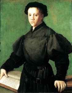 Portrait Of Lorenzo Lenzi — Agnolo Bronzino
