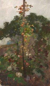 Flowers In A Garden — Benjamin Haughton