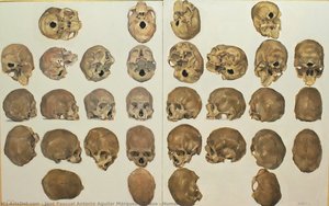 Human Skull — Antonio Aguilar