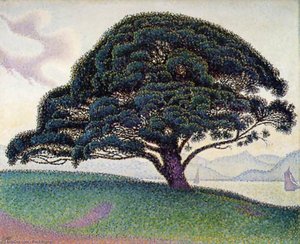 Le Pin De Bonaventura A Saint-tropez (the Bonaventure Pine In Saint-tropez) — Paul Signac