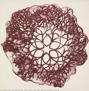 Pianta Del Deserto (tlw 1560, Disegno Di Scultura In Filo Metallico Intrecciato) — Ruth Aiko Asawa