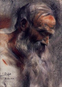 Study of an old head