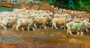 Ovce Na Exmooru — Alfred Munnings