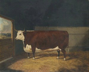 A Prize Cow In A Barn — Richard Whitford