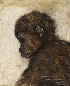 Baby Gorilla — William Walls