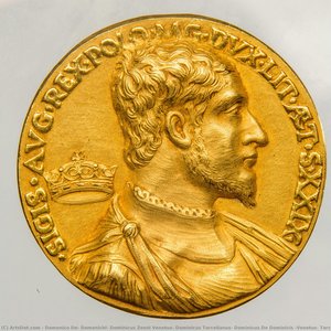 domenico de' domenichi, dominicus zenoi venetus, dominicus torcellanus, dominicus de dominicis (venetus, torcellanus)