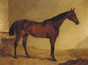 Gypsy, A Bay Horse In A Stable — John Frederick Herring Senior