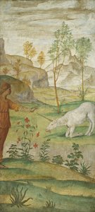 Procris And The Unicorn — Bernardino Luini