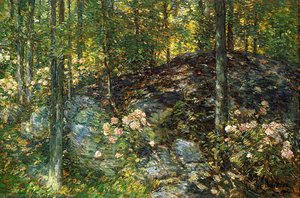 Alloro Sulle Rocce — Frederick Childe Hassam