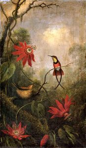 Passion Flowers And Hummingbirds — Martin Johnson Heade