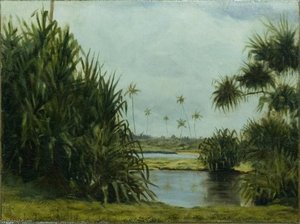 Untitled (aqzbla) — David Howard Hitchcock