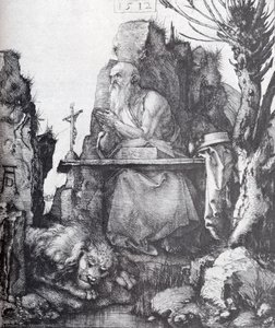 San Jerónimo Junto Al Sauce Pollard — Albrecht Dürer