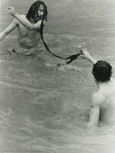 Swimmers #2 — David Dixon Porter